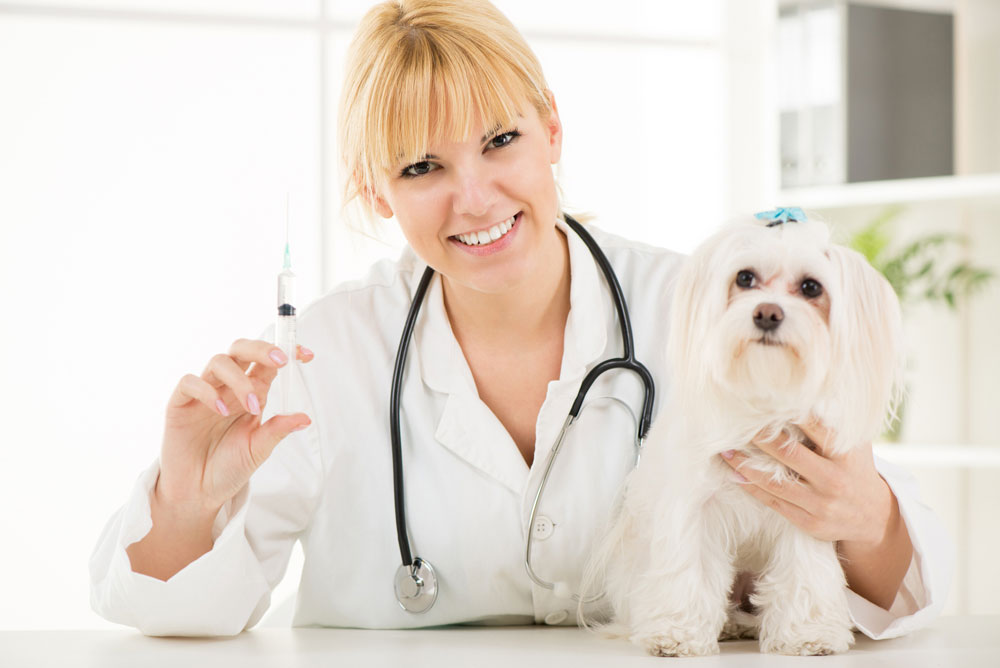 pet-vaccinations